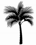 Image result for White Palm Tree Silhouette