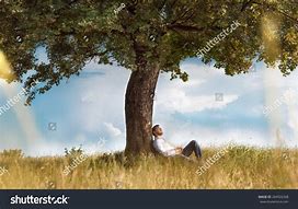 Image result for Children Sitting Under a Tree Learning From an Elder