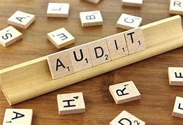 Image result for Audit Cartoon Funny