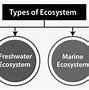 Image result for Definition of Ecosystem