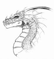 Image result for Chinese Dragon Art Realistic