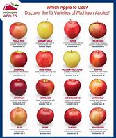 Image result for Sweet Apple Varieties