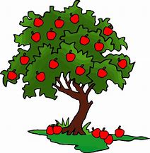 Image result for Apple Tree Trunk Clip Art