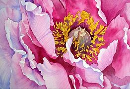 Image result for Watercolor Peony Prints