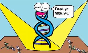 Image result for Biology DNA and RNA