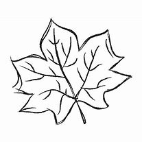 Image result for Pumpkin Leaf Cut Out