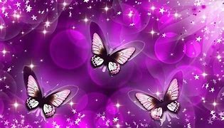 Image result for Framed Butterfly Wall Art Set