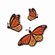 Image result for Butterfly Side Outline Clip Art