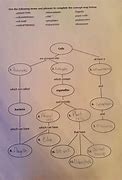 Image result for Biochemistry Concept Map