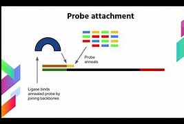 Image result for Solid Tumor DNA Sequencing