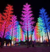 Image result for Lights On Christmas Tree Image No Background