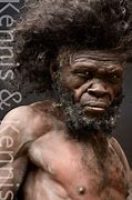 Image result for Hominid Reconstruction