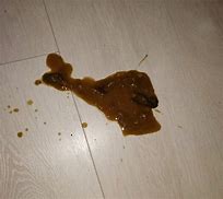 Image result for Cat Vomit Dark Brown Liquid