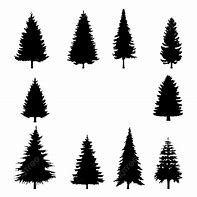 Image result for Pine Tree Silhouyette