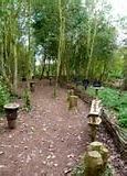 Image result for Outdoor Sensory Garden