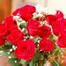 Image result for Red Roses Table Arrangement