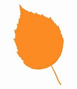 Image result for Birch Leaf Silhouette