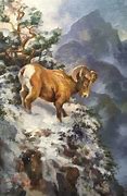 Image result for Paintings of Wild Animals