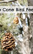 Image result for Free Coloring Pages of Bird Feeders