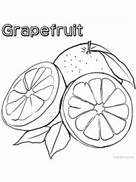 Image result for Grapefruit Coloring Page