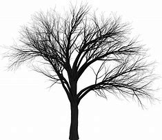 Image result for SIB Tree Branch Icon