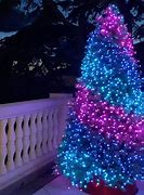 Image result for Christmas Tree Window LED Display