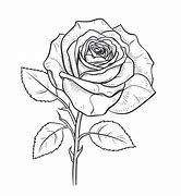 Image result for Advanced Rose Coloring Pages S