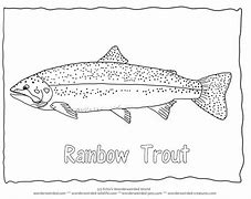 Image result for Trout Fish Coloring Pages