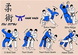 Image result for Judo Moves