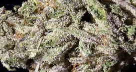 Image result for Sweet Kush Strain