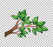 Image result for Tree with Low Middle and High Branch Icon