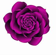 Image result for White Rose Clip Art Black Background