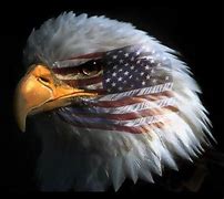 Image result for Patriotic Eagle Clip Art