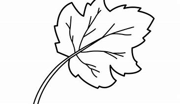 Image result for Leaf Drawing for Kids Coloring