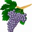 Image result for Grape Leaf Clip Art