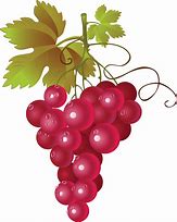 Image result for Grapes Clip Art Free Download