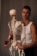 Image result for Human Skeleton Outline