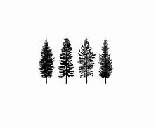 Image result for Pine Tree Silhouette Low Poly