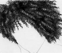 Image result for African American Hair Art