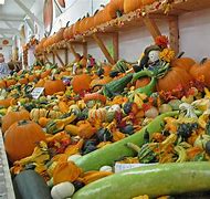 Image result for Fall Harvest Coloring Pages Printable