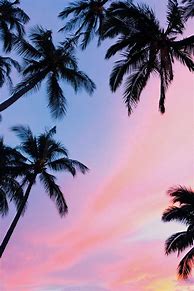 Image result for 4K Vector Art Palm Trees Wallpaper 4K