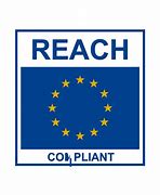 Image result for Reach Logo Vector