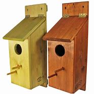 Image result for Owl Nesting Box Plans