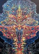 Image result for Transcendence Visionary Art