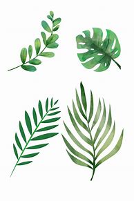 Image result for Pretty Leaf to Print