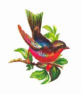 Image result for Bird On Branch Graphic