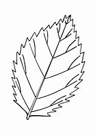 Image result for Leaf Colouring Sheet