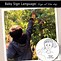 Image result for Beginning Sign Language Flash Cards