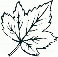 Image result for Leaf Coloring Sheets Printable