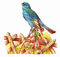 Image result for Antique Bird Clip Art